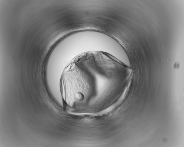 X0000090430350200708102010