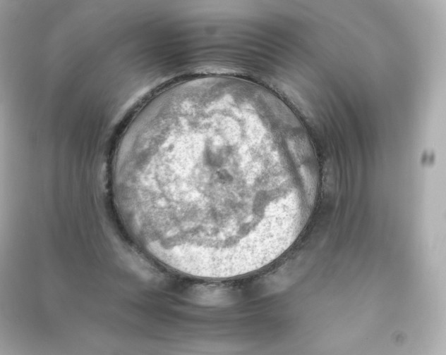 X0000090430351200708102010