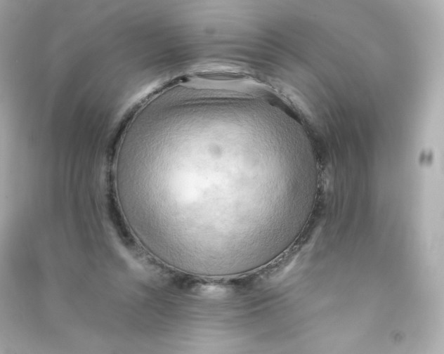 X0000090430352200708102010