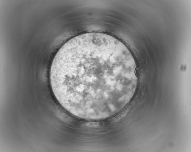 X0000090430353200708102010