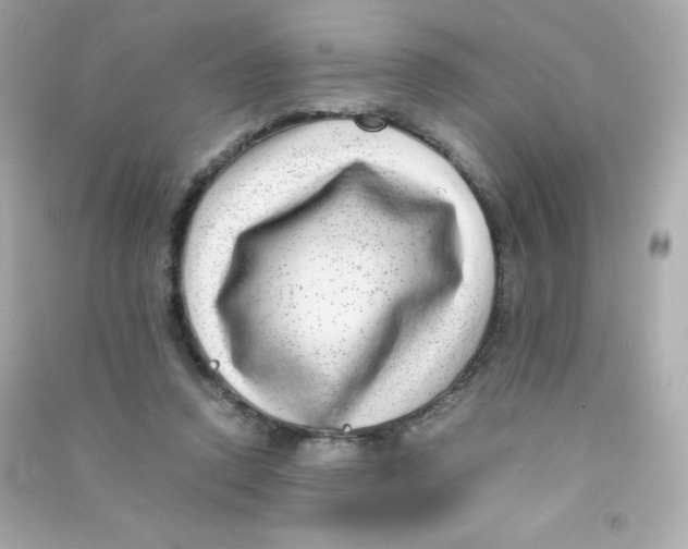 X0000090430354200708102010