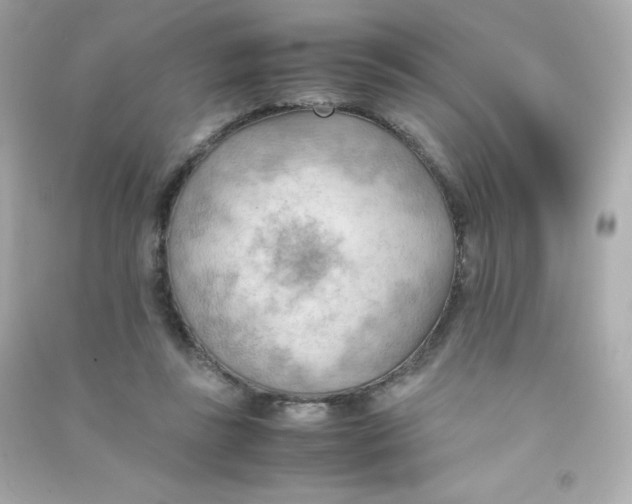 X0000090430355200708102010