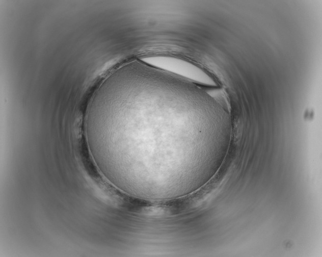 X0000090430356200708102010