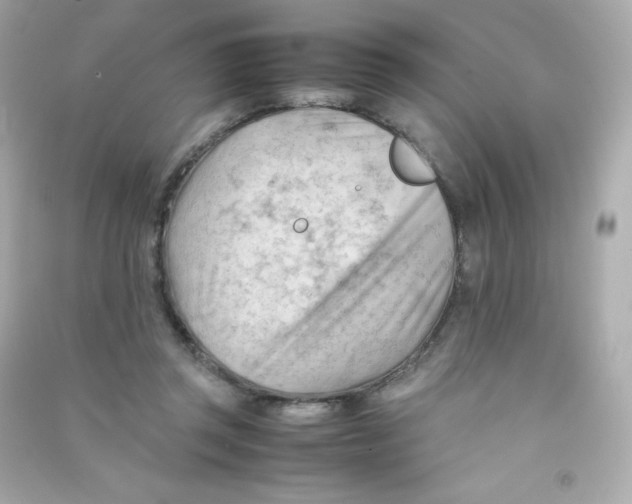 X0000090430357200708102010