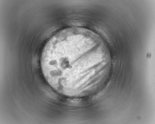 X0000090430359200708102010
