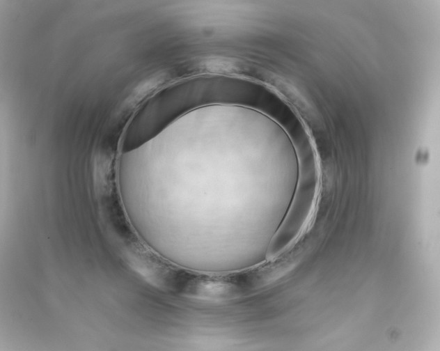 X0000090430360200708102010