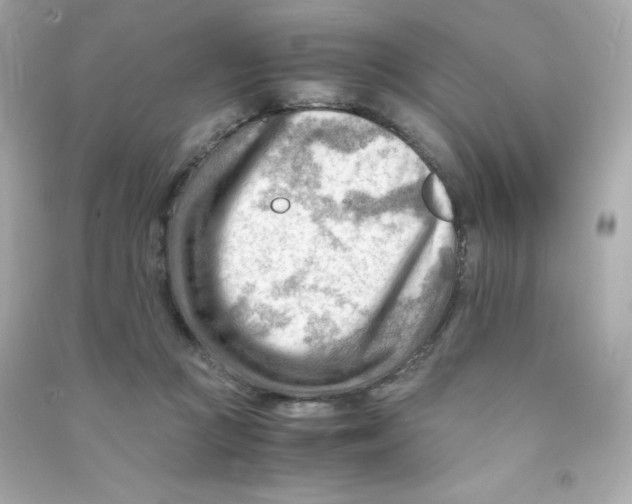 X0000090430361200708102010