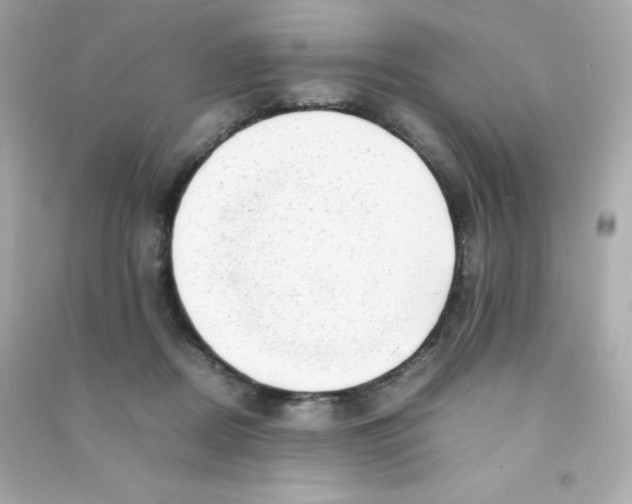 X0000090430362200708102010