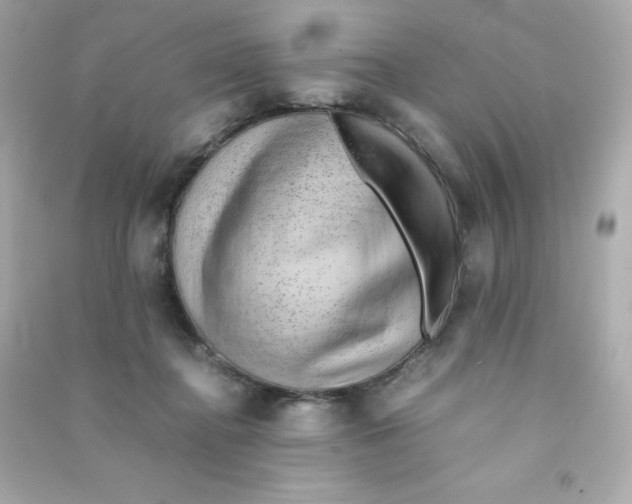X0000090430364200708102010