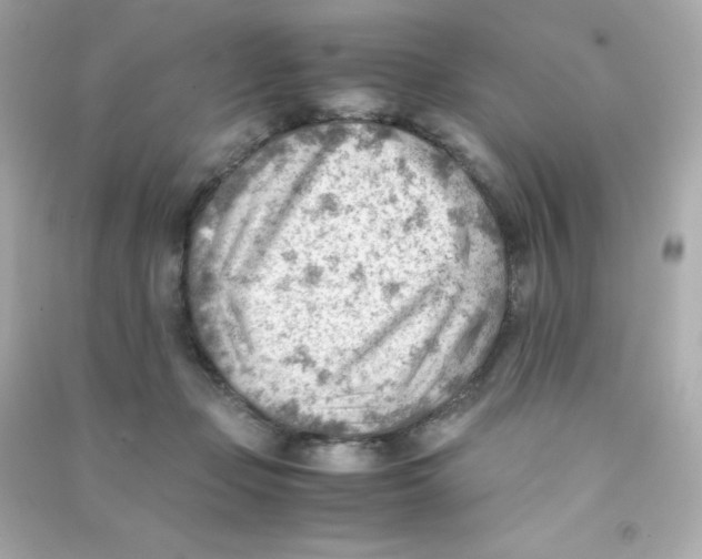 X0000090430365200708102010