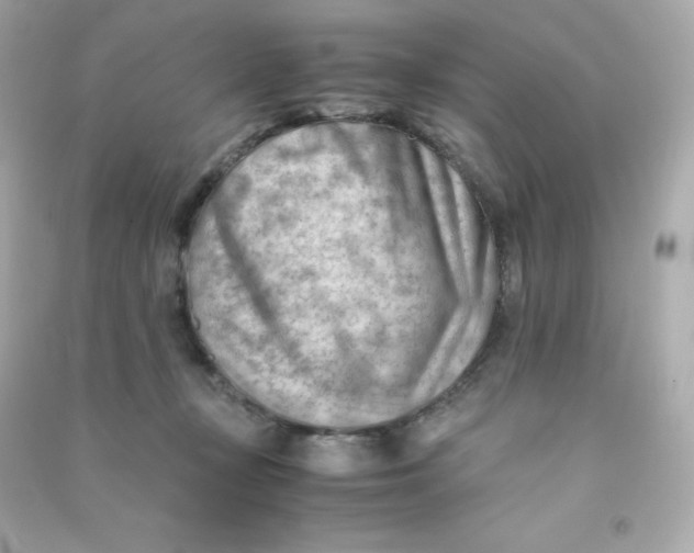 X0000090430367200708102010