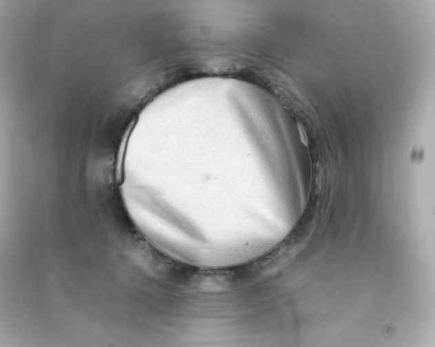 X0000090430368200708102010