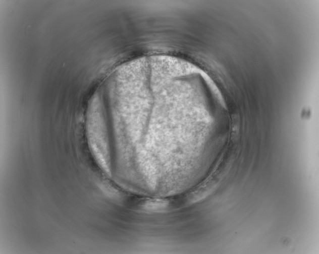 X0000090430369200708102010