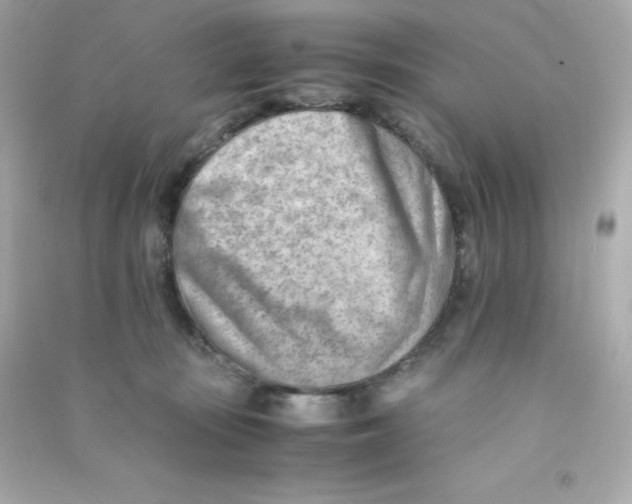 X0000090430371200708102010