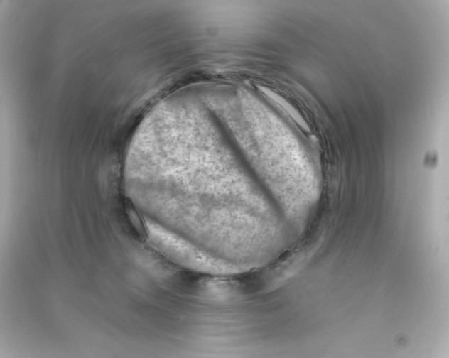 X0000090430372200708102010