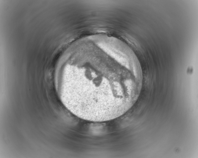 X0000090430373200708102010