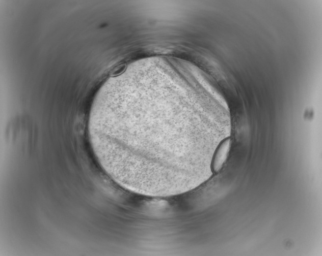 X0000090430374200708102010