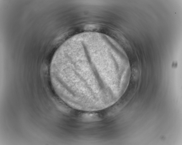 X0000090430375200708102010