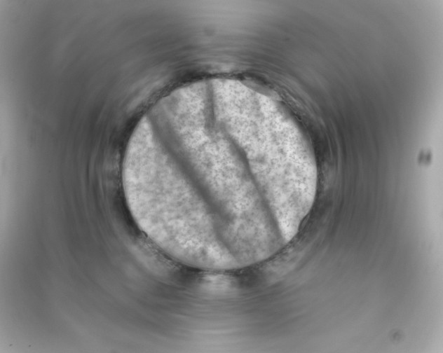 X0000090430376200708102010