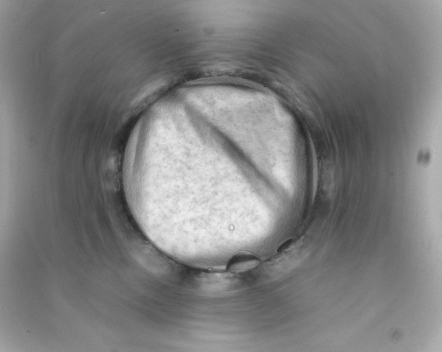 X0000090430378200708102010