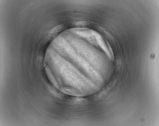 X0000090430379200708102010