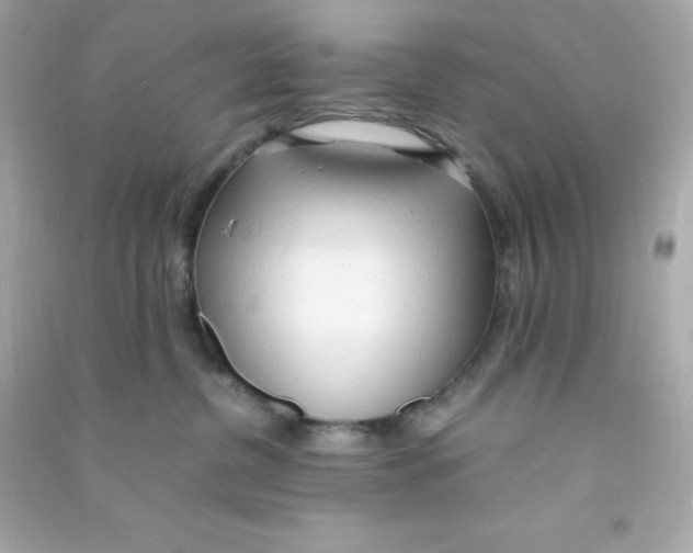 X0000090430380200708102010