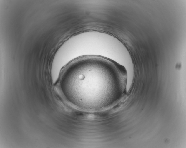 X0000090430382200708102010