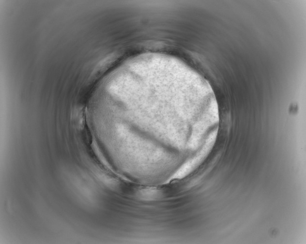 X0000090430383200708102010