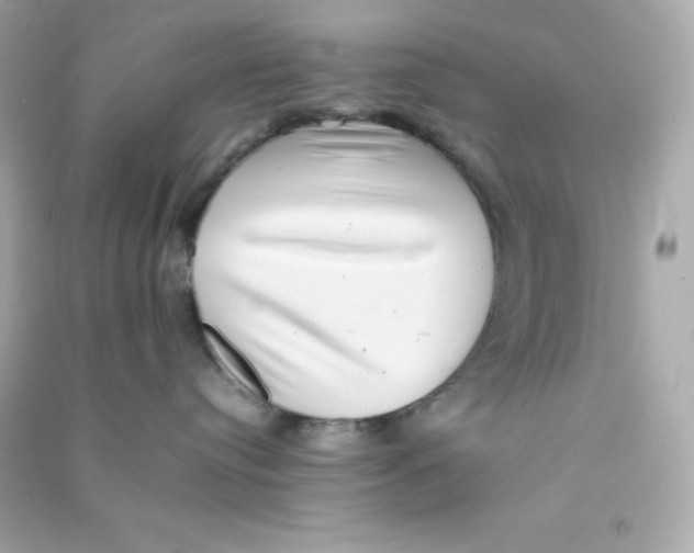 X0000090430384200708102010