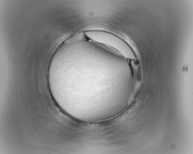 X0000090430385200708102010