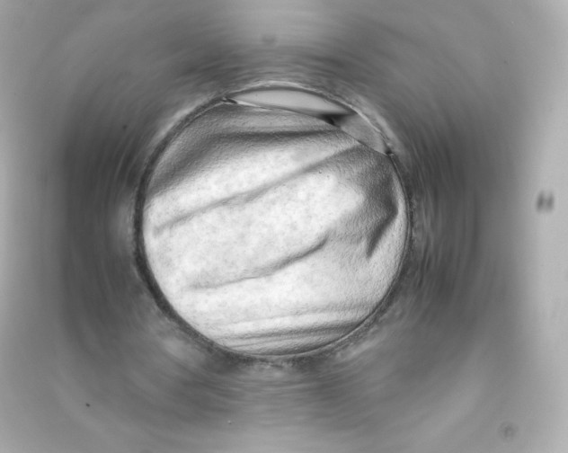 X0000090430386200708102010