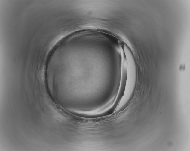 X0000090430387200708102010