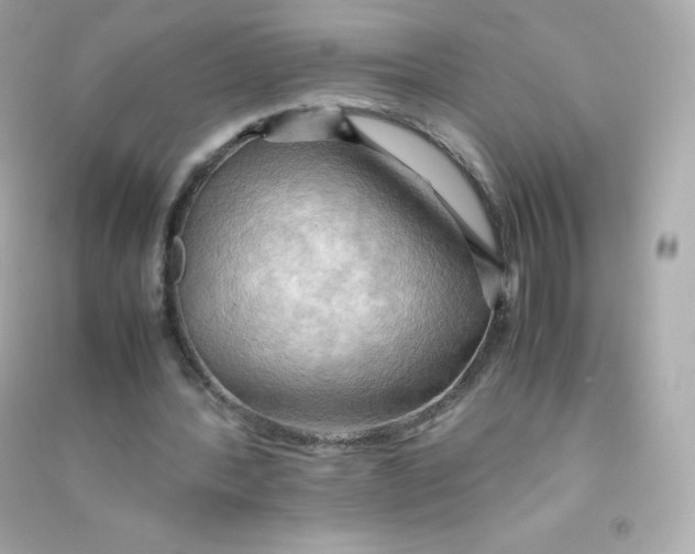 X0000090430388200708102010