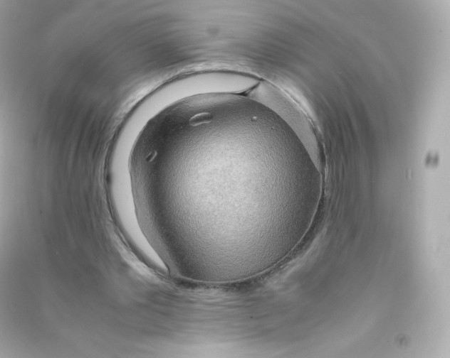 X0000090430389200708102009