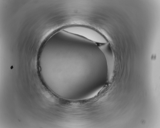 X0000090430391200708102009
