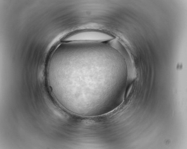 X0000090430392200708102009