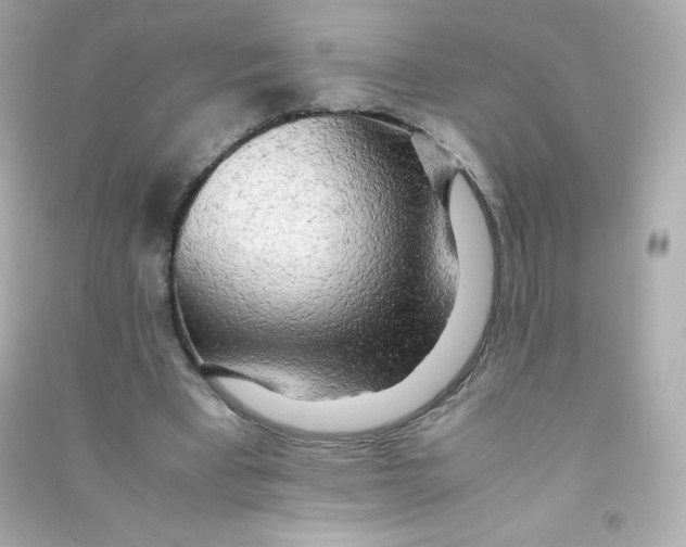 X0000090430393200708102009
