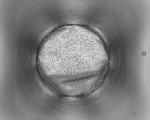 X0000090430394200708102009