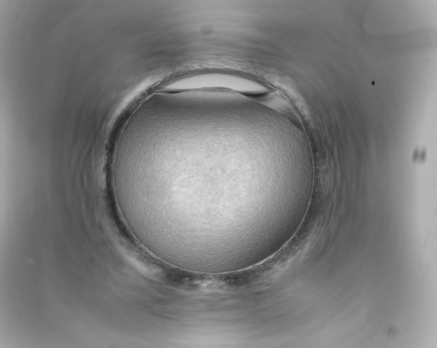 X0000090430395200708102009