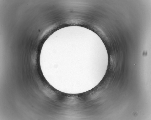 X0000090430396200708102009