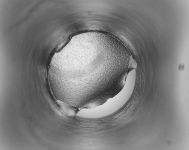 X0000090430397200708102009