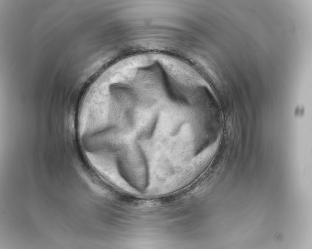 X0000090430398200708102009