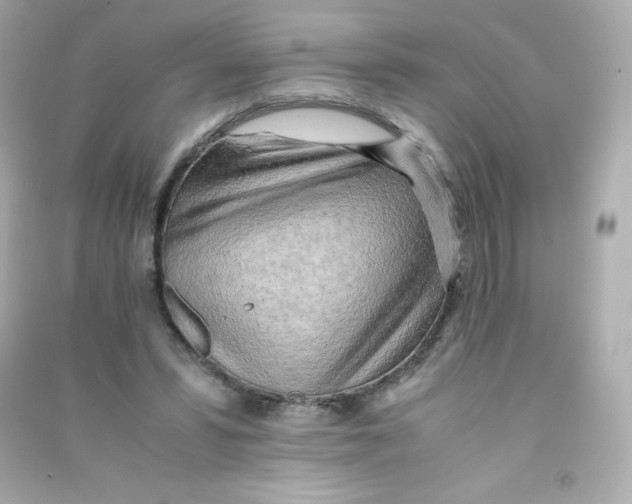X0000090430399200708102009