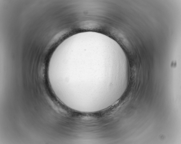 X0000090430400200708102009