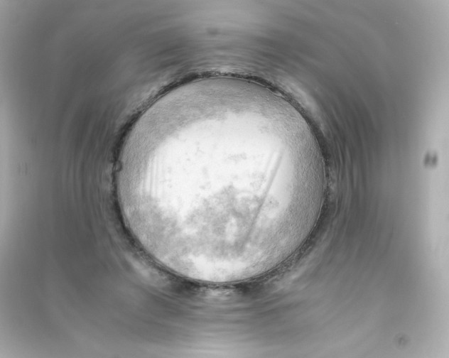 X0000090430401200708102009