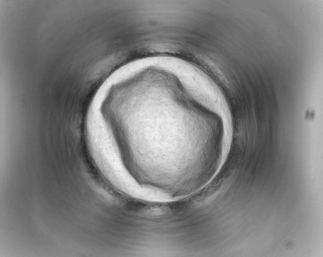 X0000090430402200708102009
