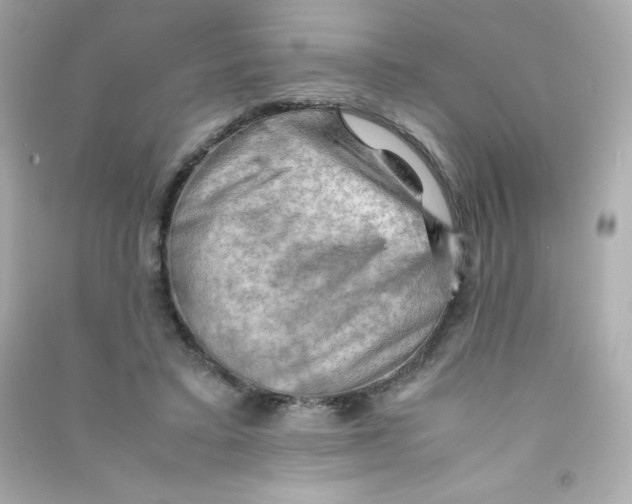 X0000090430403200708102009
