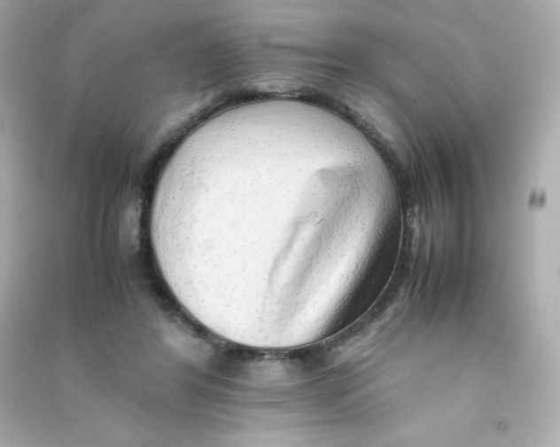 X0000090430404200708102009