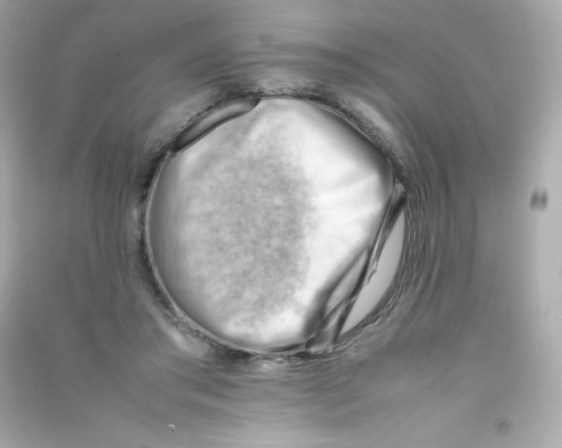 X0000090430405200708102009