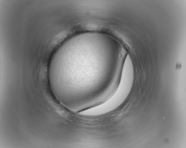 X0000090430407200708102009
